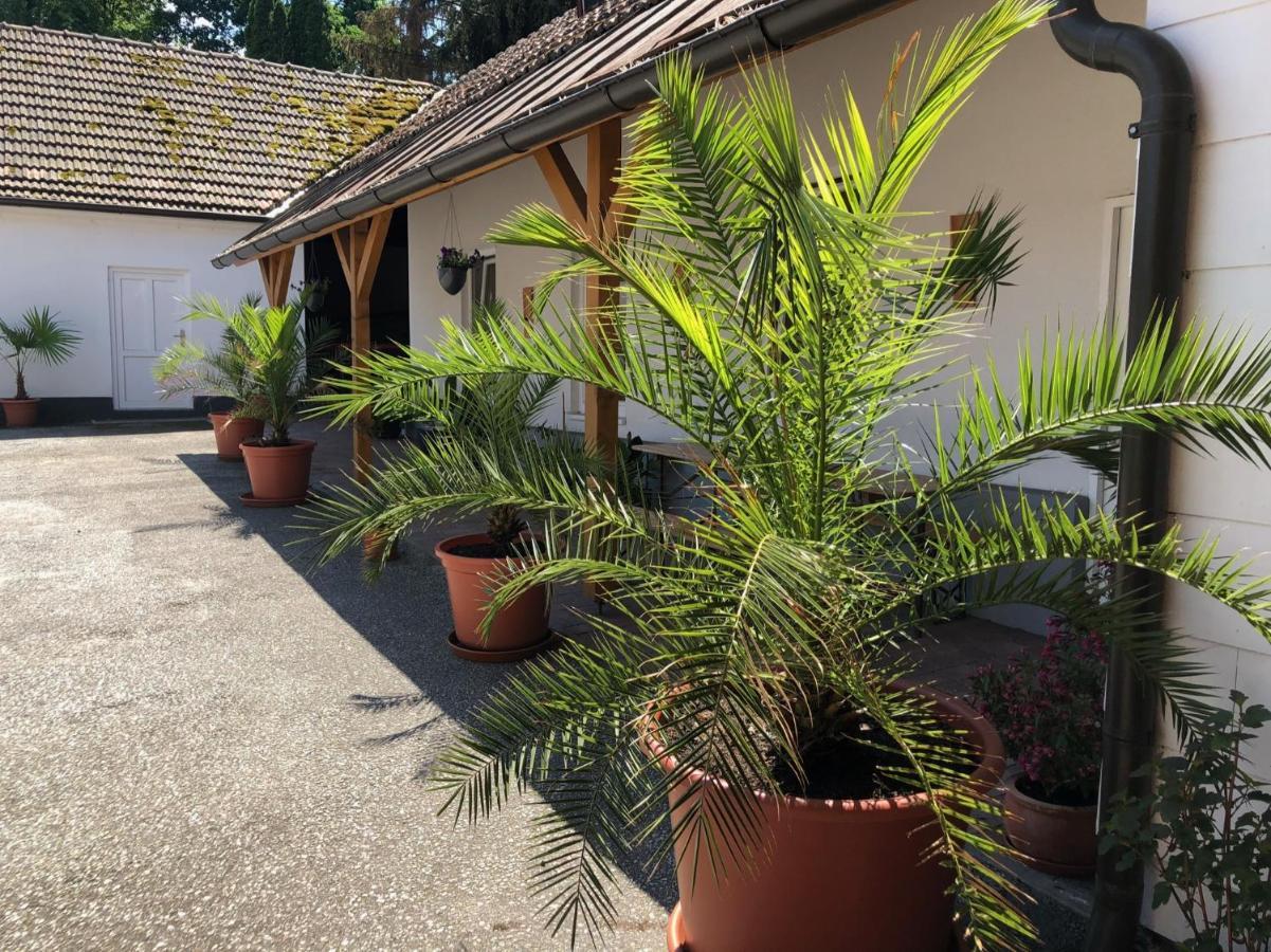 Ferienwohnung „Gmuender Hof“ Gmund  Exteriör bild